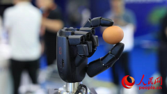 让“最强大脑”赋能“强富美高”